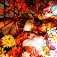 Illustration for article titled The Beautiful (and Bloody) Cosplay of Saki Hanamura